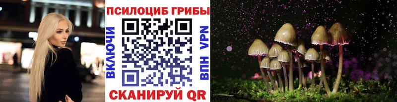 Галлюциногенные грибы Psilocybe  Игарка 
